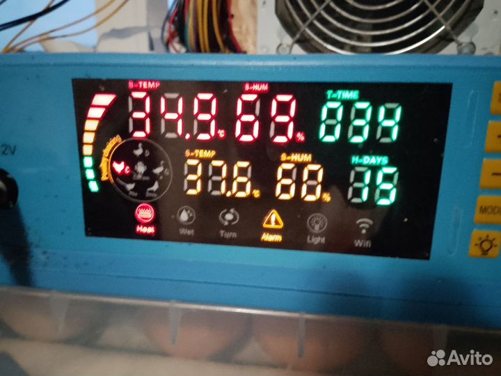 Инкубатор на124 яйца