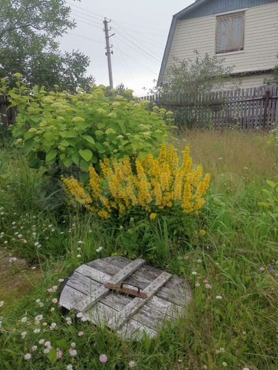 Дача 15 м² на участке 5 сот.