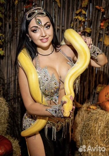 Змея для фотосессии или фото зоны, танец с Питоном