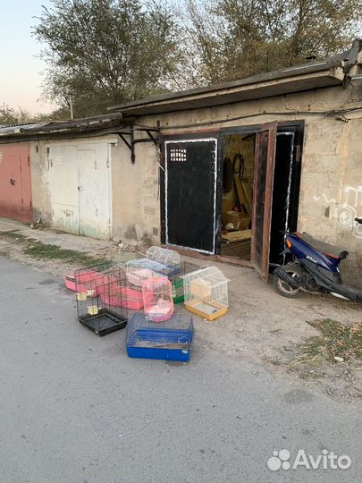 Клетки для грызунов,попугаев