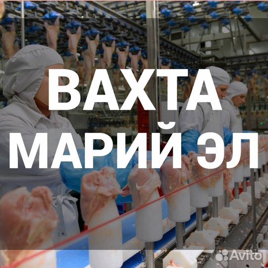 Оператор линии вахта от 15 смен г. Курск