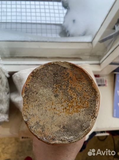 Бутылка 19 век