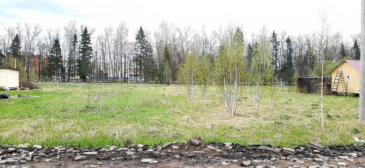 Участок 16 сот. (ИЖС)