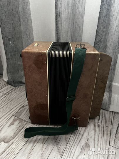 Баян огонек 2