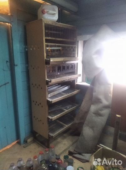 Клетка для перепелов 120-150 голов