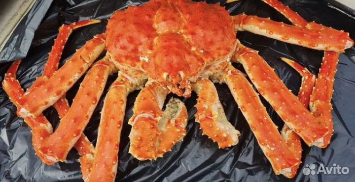 Икра, краб, креветка, рыба, морепродукты оптом