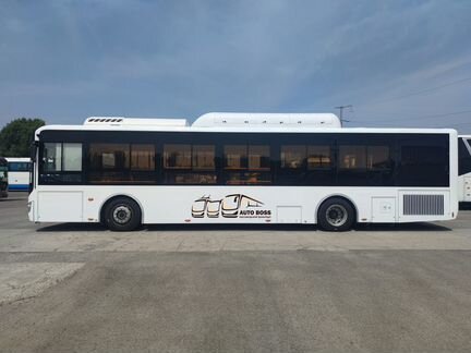 Городской автобус Zhong Tong LCK6125HGAN, 2024