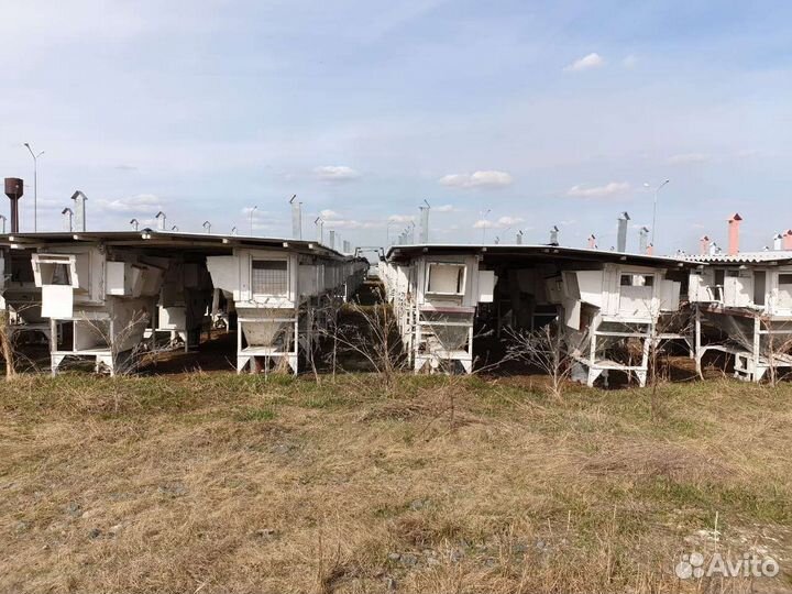 Продам готовый бизнес производство кроличья ферма