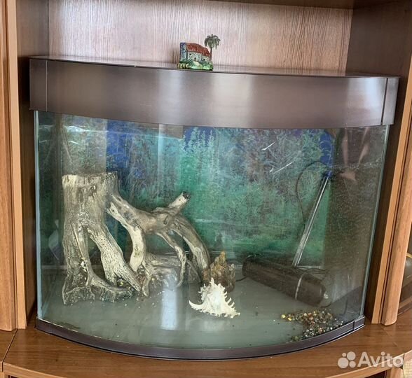 Аквариум