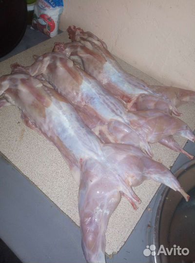 Мясо кролика