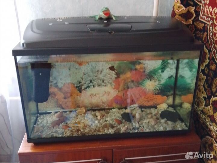 Аквариум