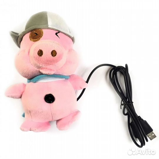 Web-камера agestar