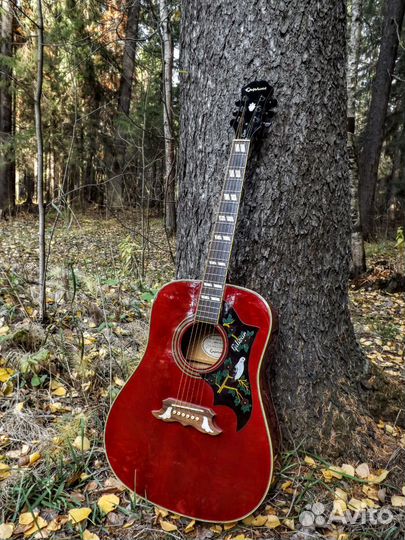 Электроакустика Epiphone limited edition dove