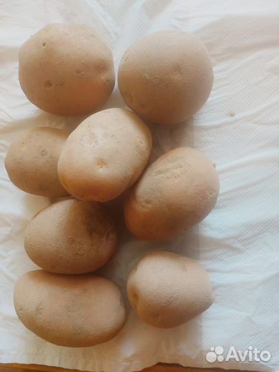 Продается картофель