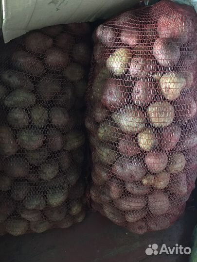 Картофель деревенский, ассорти разных сортов