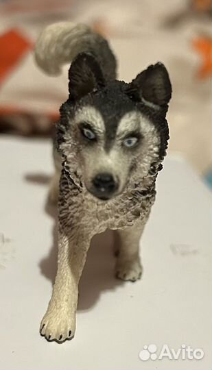 Фигурка собаки (хаски) schleich