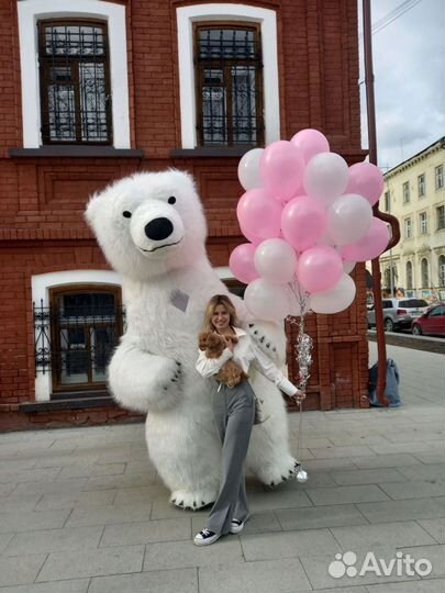 Поздравление белого медведя
