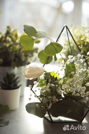 Флорариум, декор