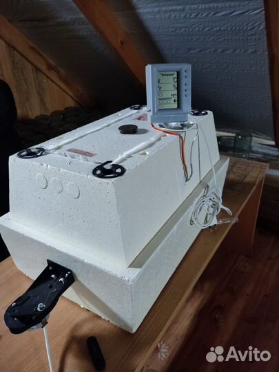 Инкубатор для яиц 