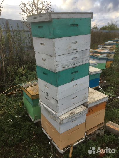 Ульи для пчел