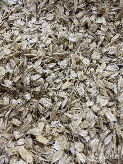 Плющенный Овес