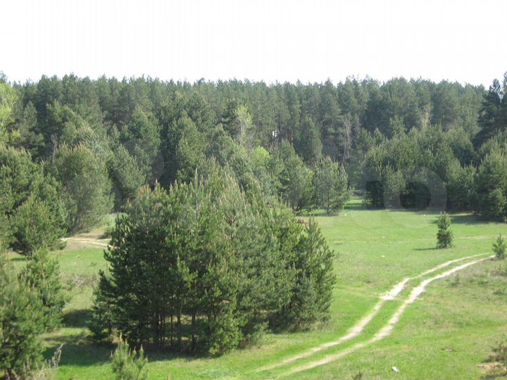 Участок 7,4 га (СНТ, ДНП)