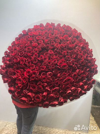Цветы букеты с доставкой розы 51 роза