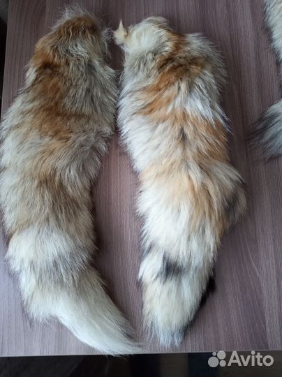 Лисий хвост