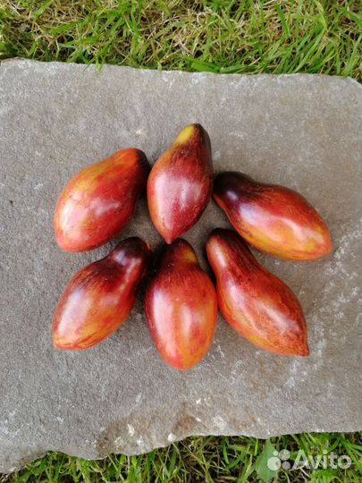 Семена томатов, помидор ч. 7