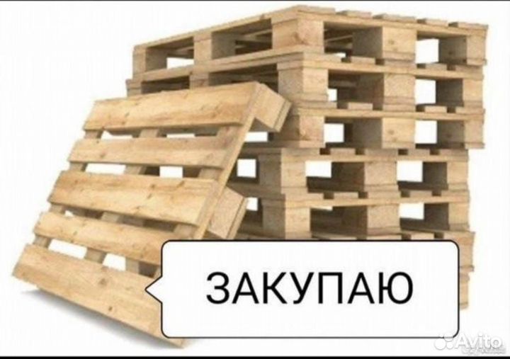 Поддоны