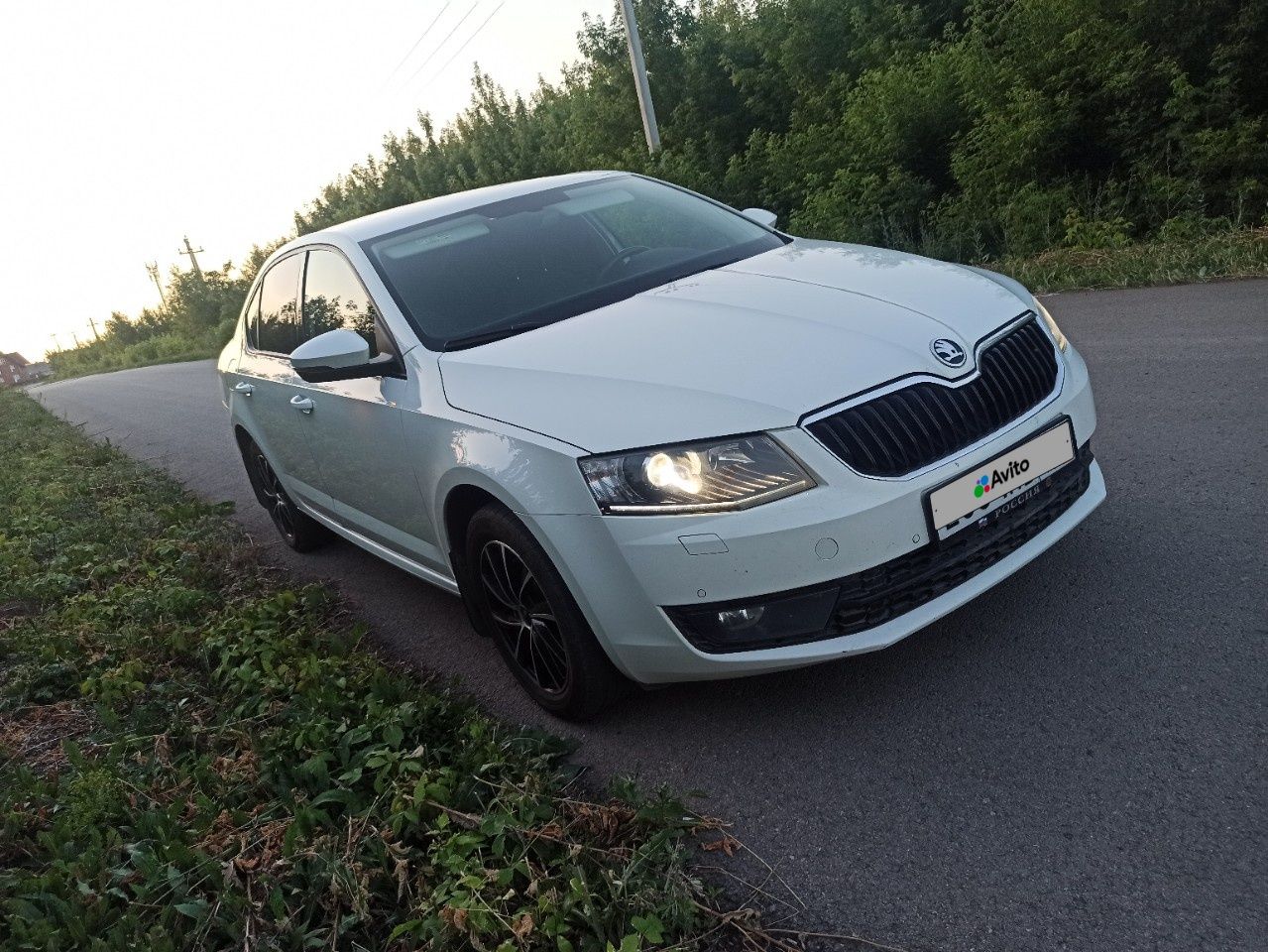 Skoda Octavia: фото владельца