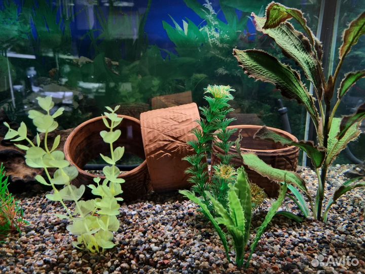 Аквариум с фильтрами, аэрацией и декором