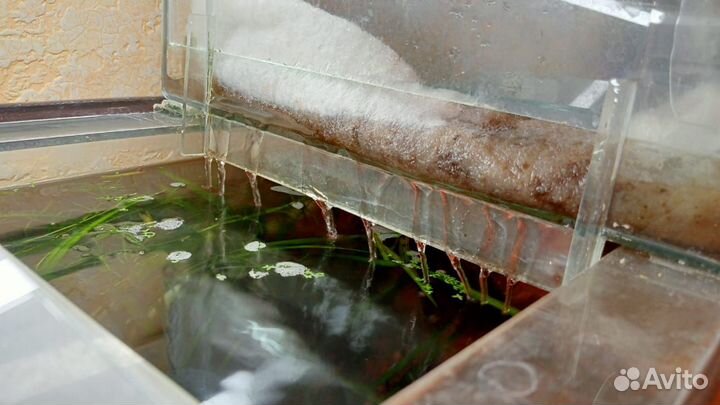 Аквариум с рыбками