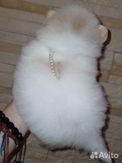 Супер кукольная девочка медвежонок,доставка