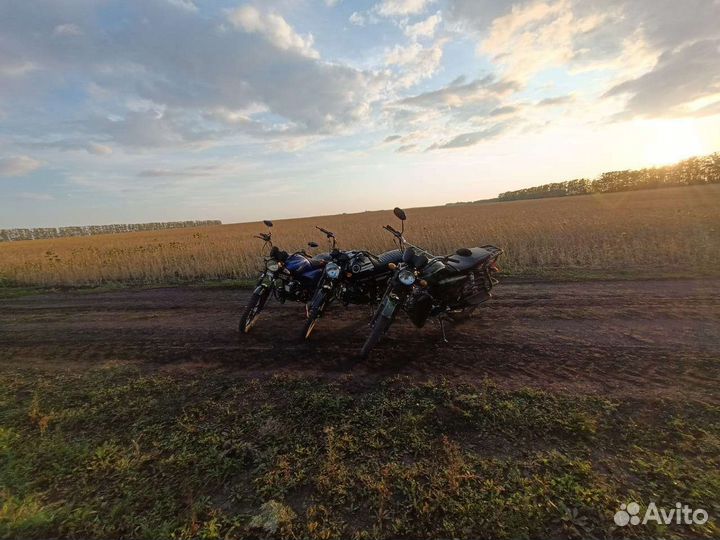 Альфа