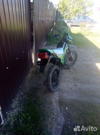 Зид пилот 50