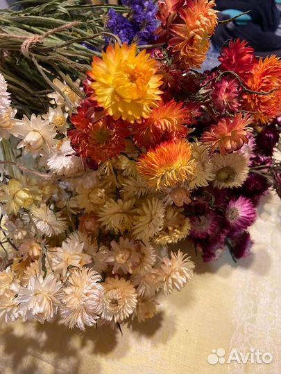 Букет из сухоцветов