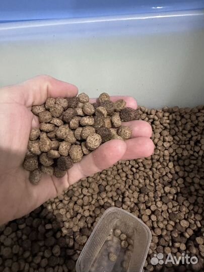 Корм для кошек и собак