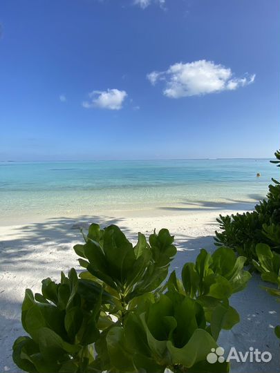 Туры на Мальдивы, отдых в райском месте