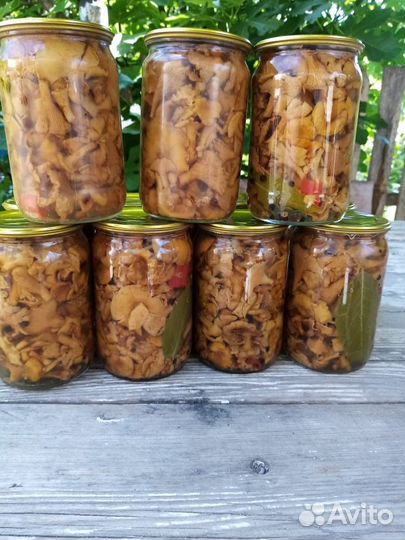 Грибы лисички