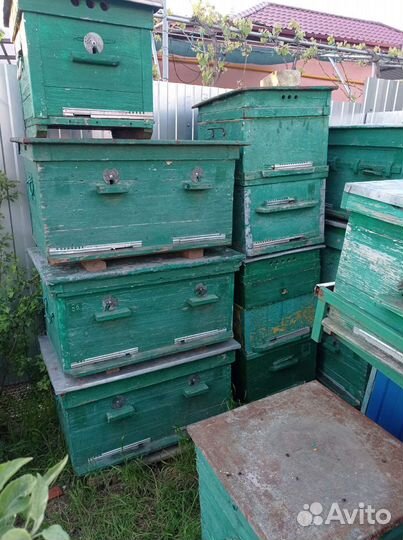 Улей. Рамки