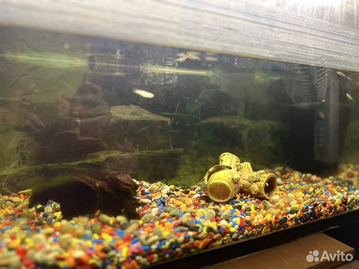 Аквариум 160 литров