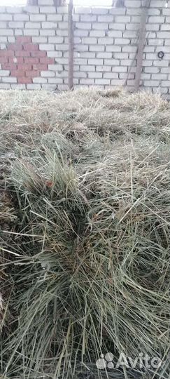 Сено в тюках