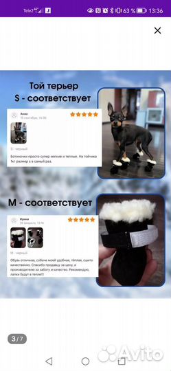 Обувь для собак мелких и средних пород на липучке