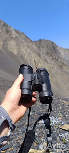 Бинокль 10х42