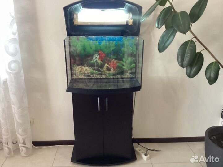 Аквариум с тумбой