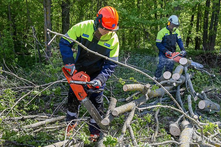 Бригада в лес с инструментом