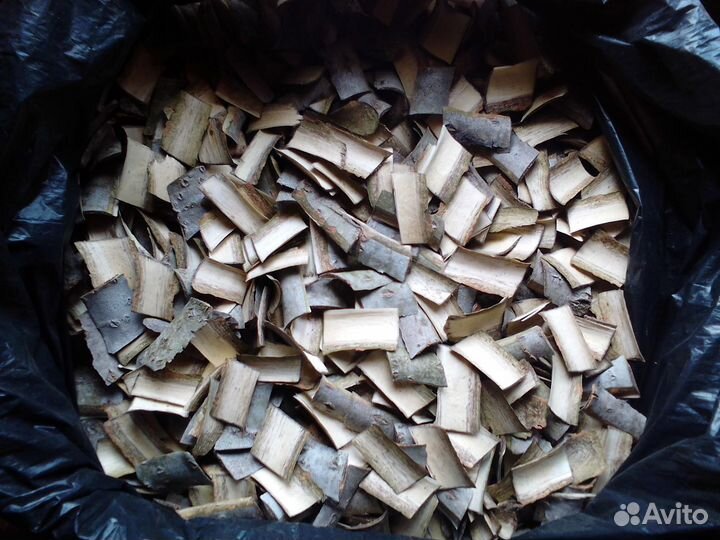 Кора молодой Осины