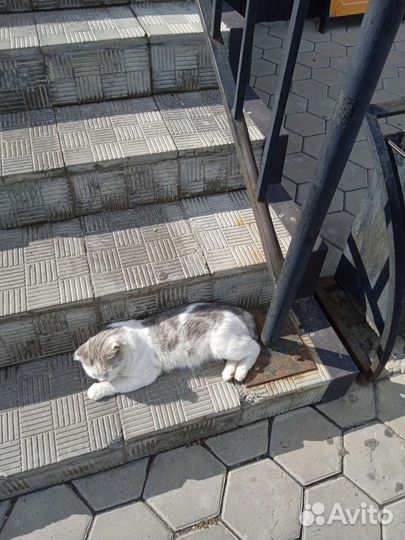 Кто потерял