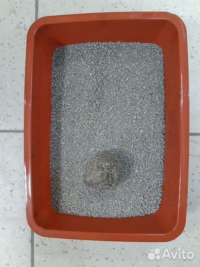 Наполнитель для кошачьего туалета комкующийся